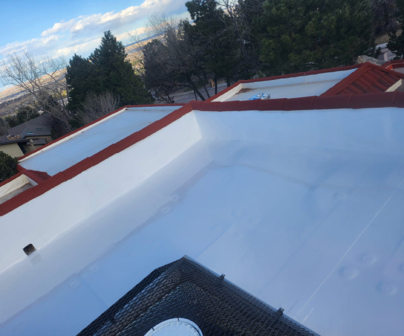 Your Roof Is the First Line of Defence Your Roof Is the First Line of Defence